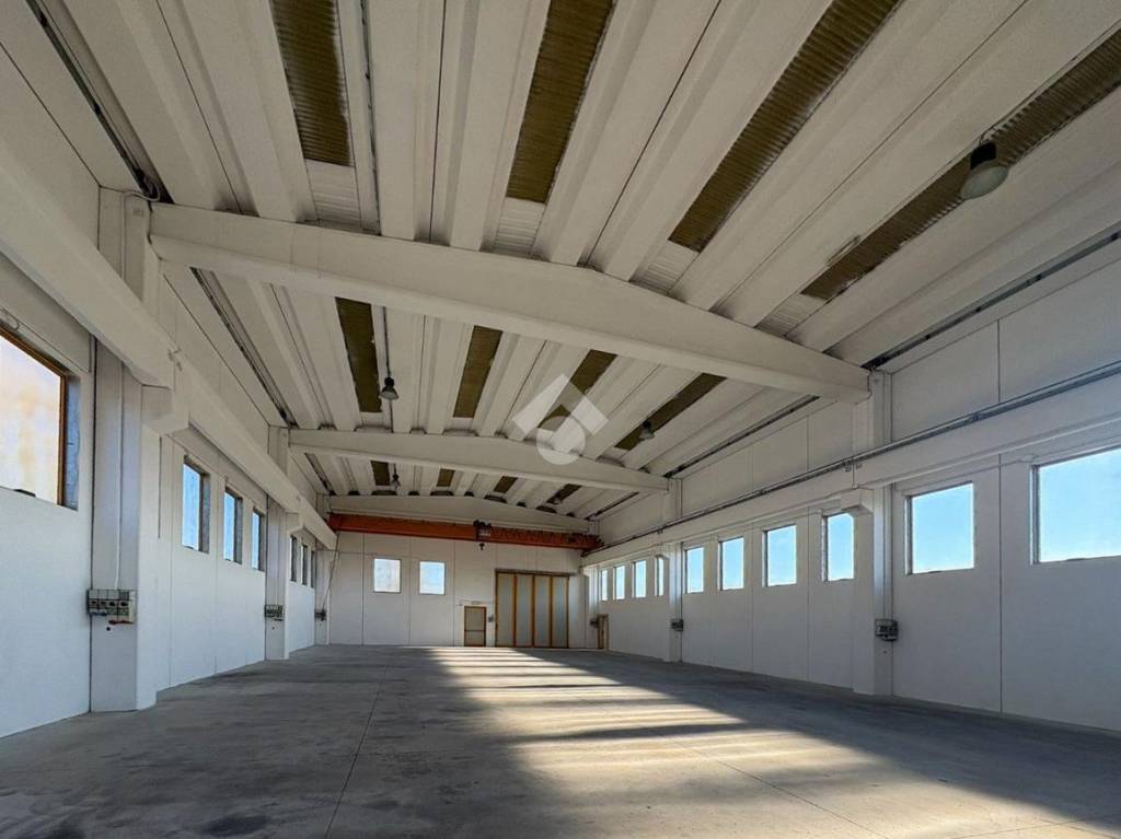 immagine annuncio 2 di 13