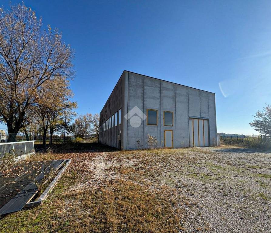 immagine annuncio 8 di 13