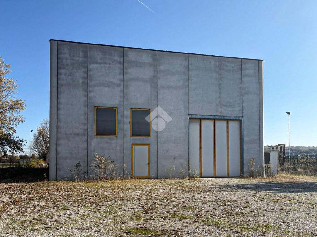 immagine annuncio 9 di 13