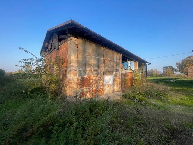 immagine annuncio 5 di 9