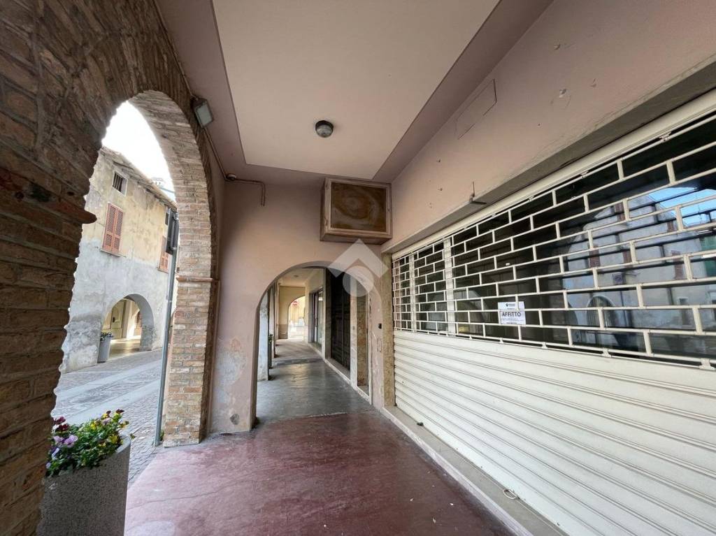 immagine annuncio 11 di 13