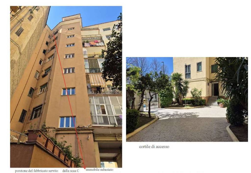 immagine annuncio 8 di 13