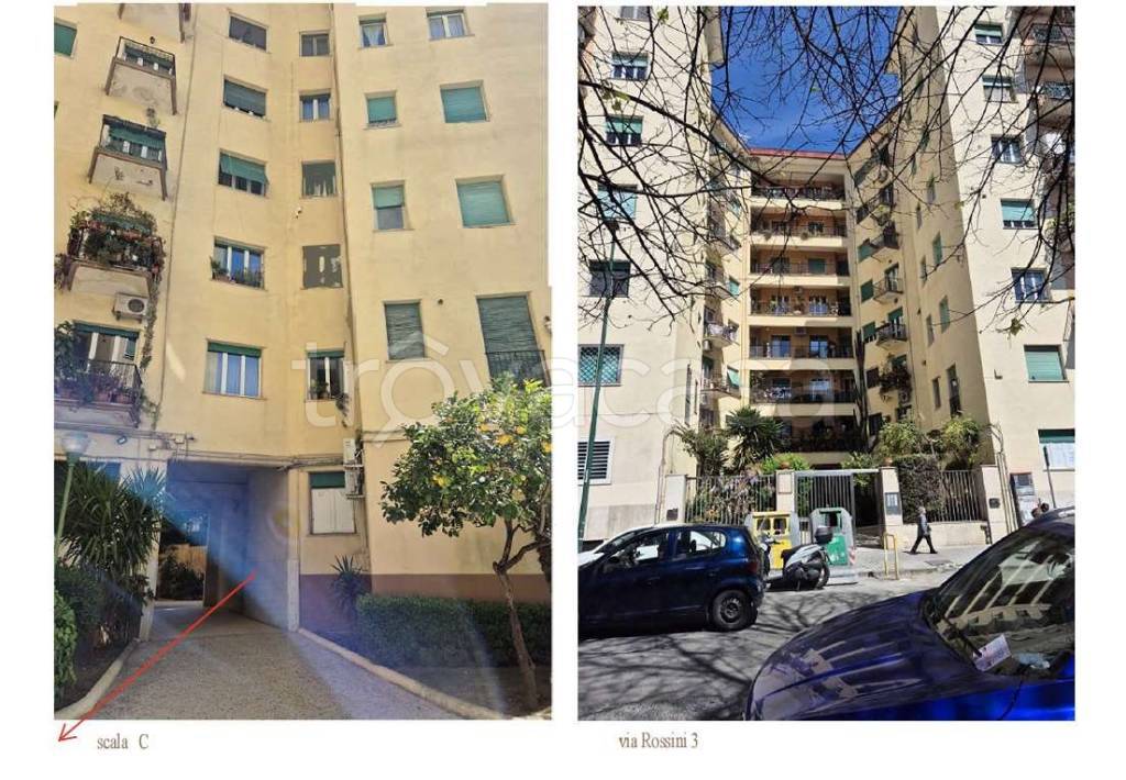 immagine annuncio 9 di 13