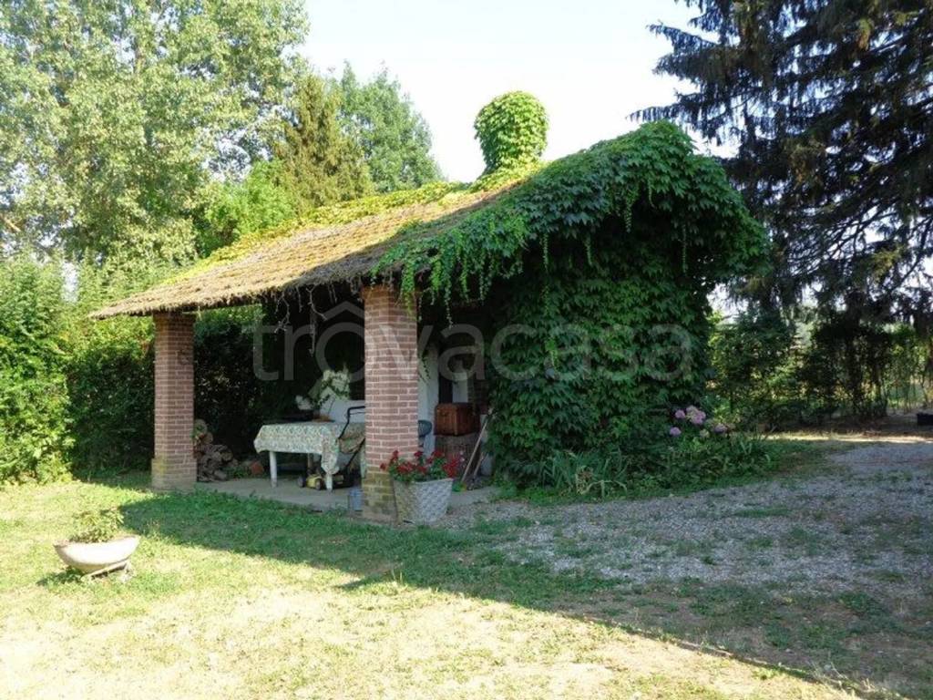 immagine annuncio 2 di 11