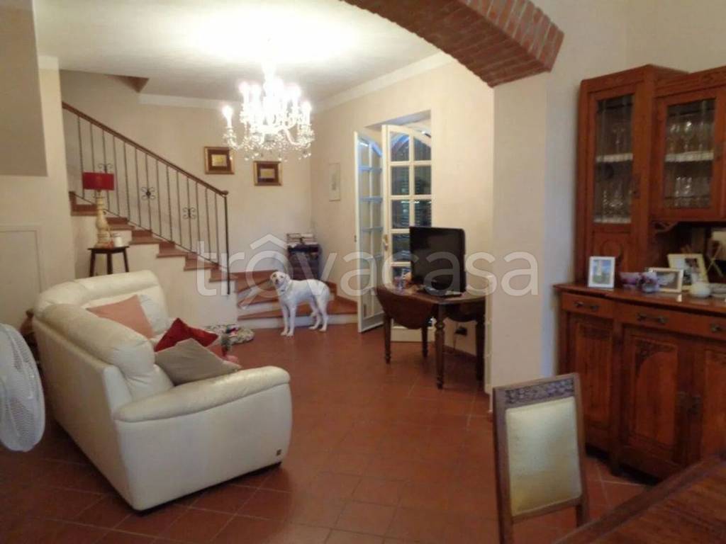 immagine annuncio 5 di 11