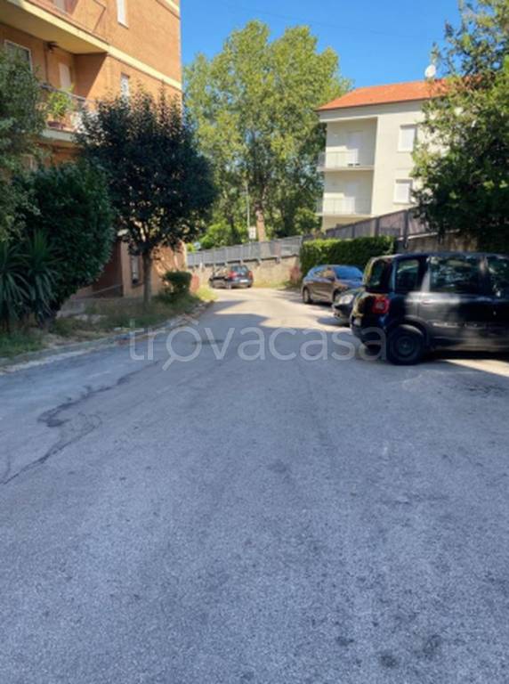 immagine annuncio 8 di 12