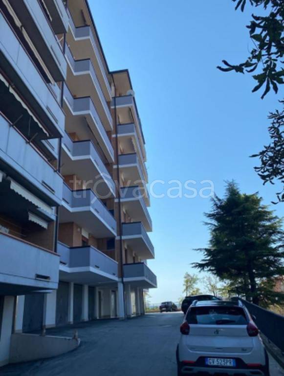 immagine annuncio 11 di 12