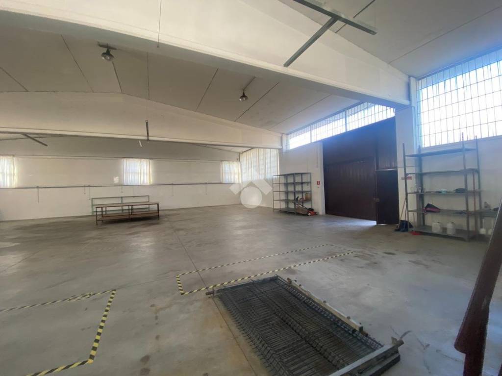 immagine annuncio 10 di 11