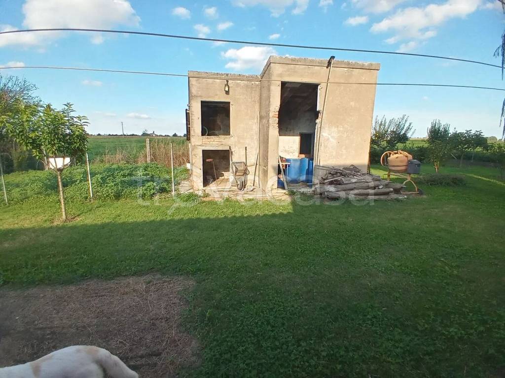 immagine annuncio 6 di 15