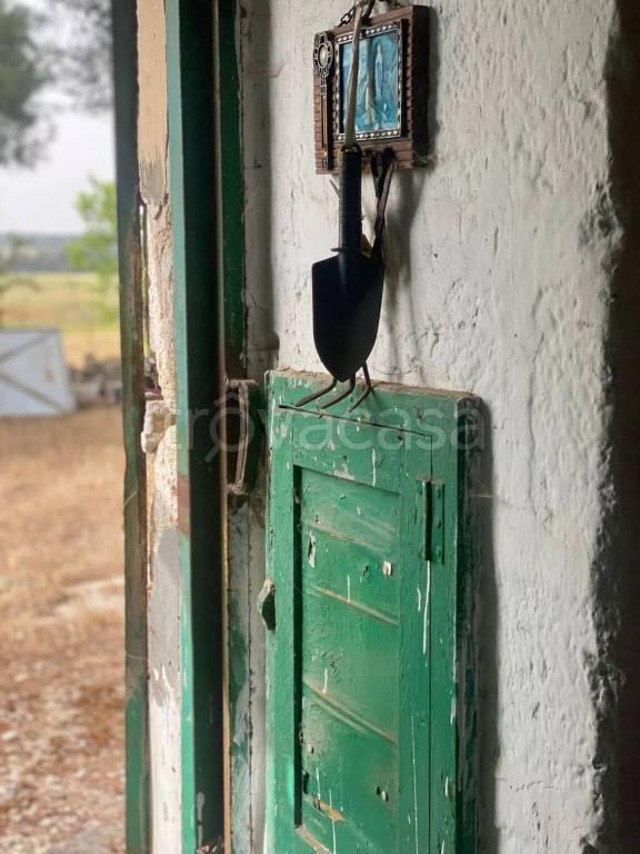 immagine annuncio 6 di 9