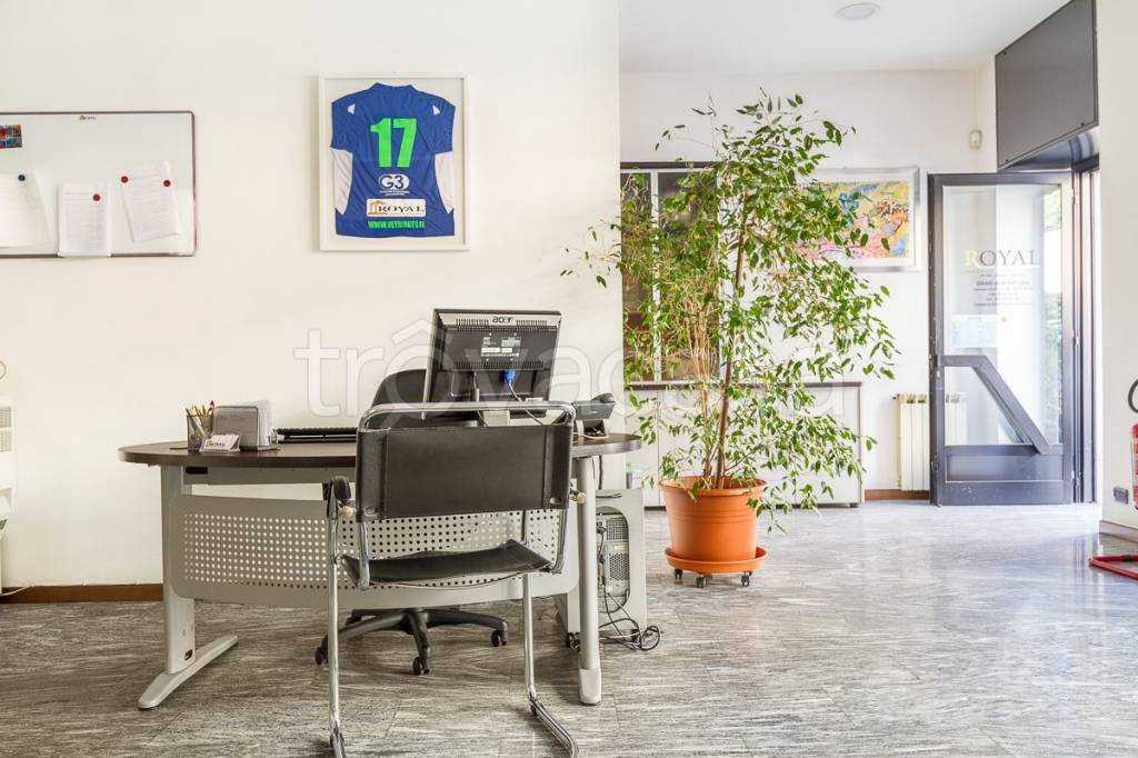 immagine annuncio 7 di 12