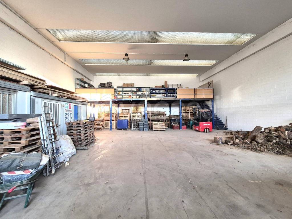 immagine annuncio 5 di 15