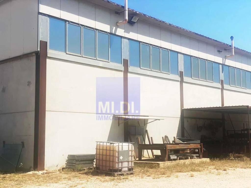 immagine annuncio 3 di 7