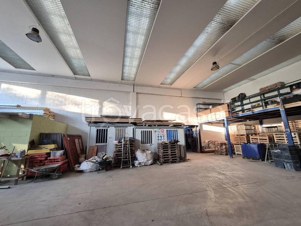 immagine annuncio 6 di 15