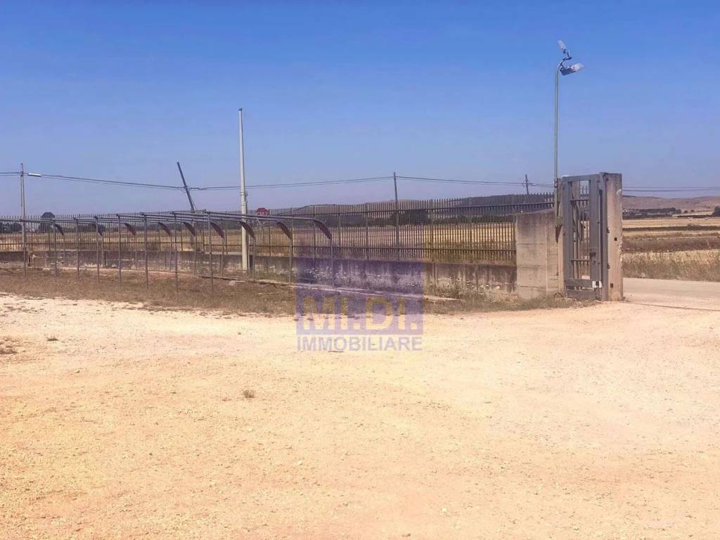 immagine annuncio 4 di 7