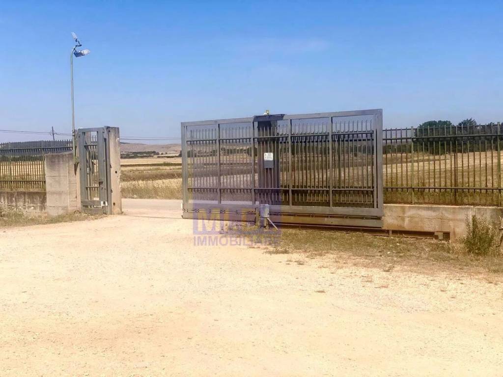 immagine annuncio 5 di 7