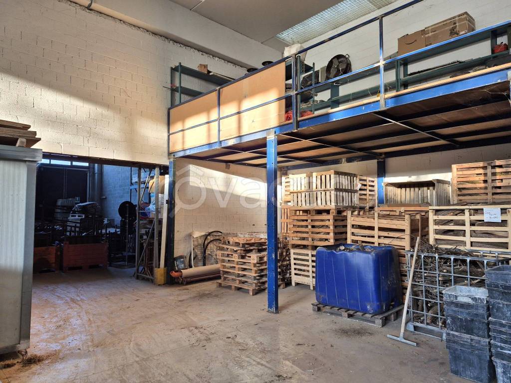 immagine annuncio 9 di 15