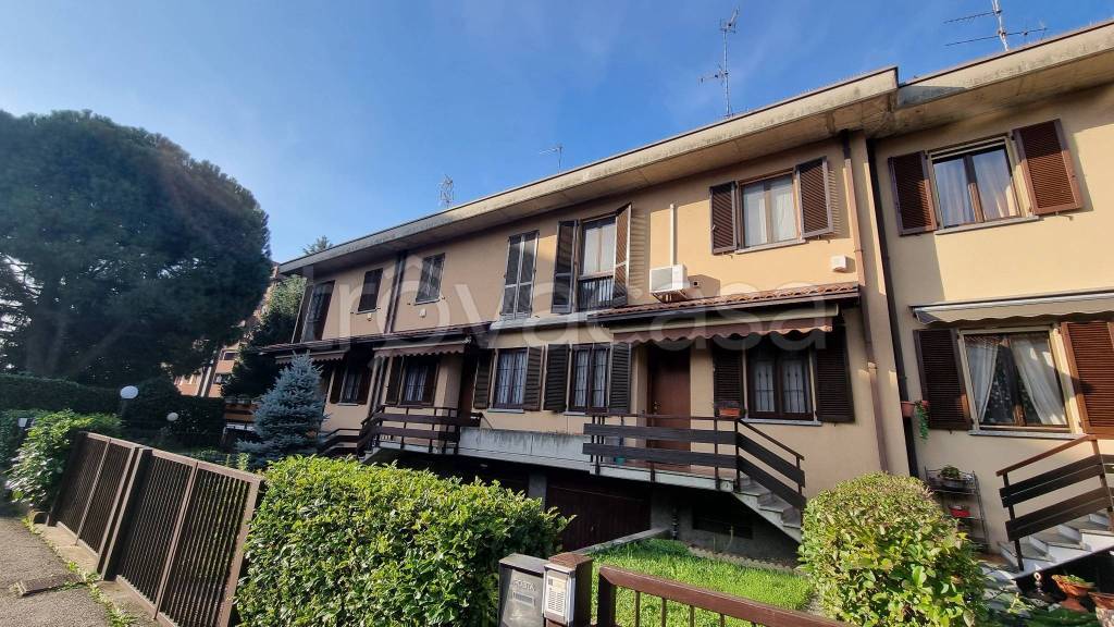 immagine annuncio 3 di 15