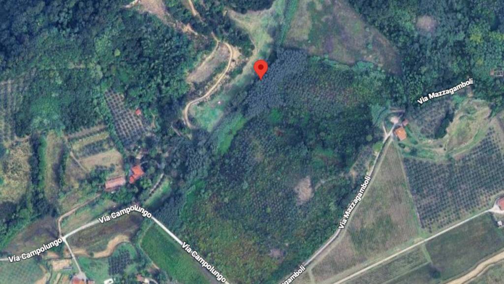 immagine annuncio 2 di 11