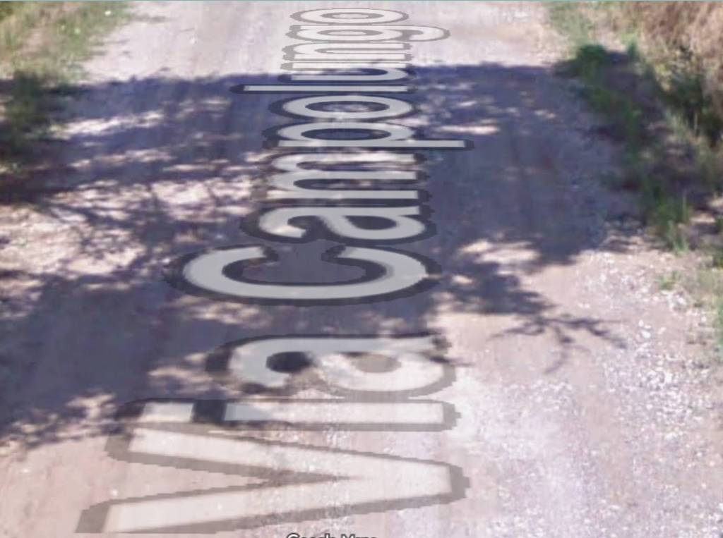 immagine annuncio 3 di 11