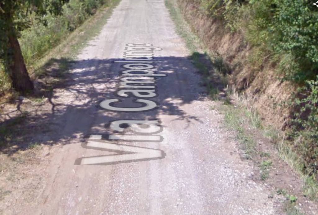 immagine annuncio 4 di 11