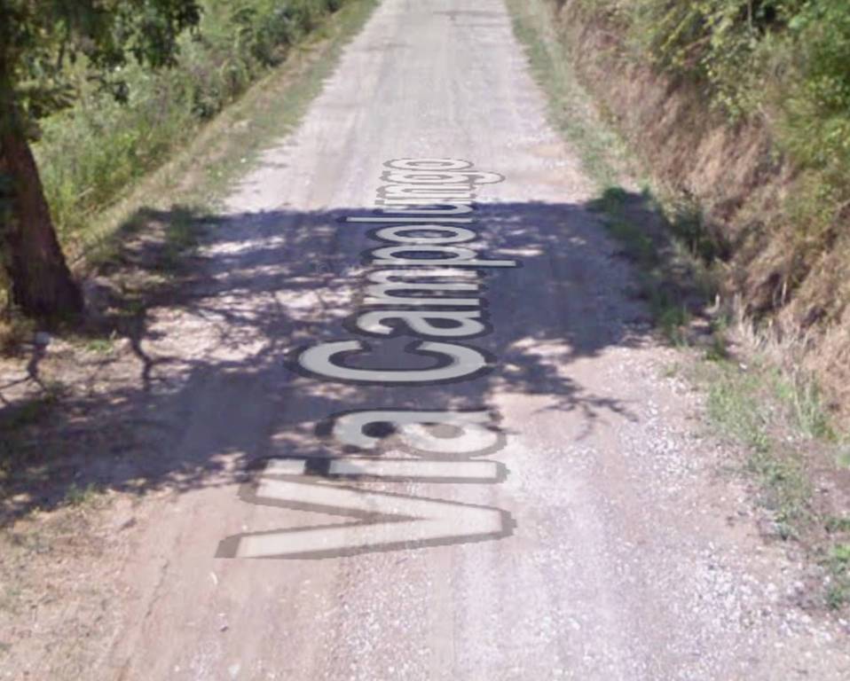 immagine annuncio 5 di 11