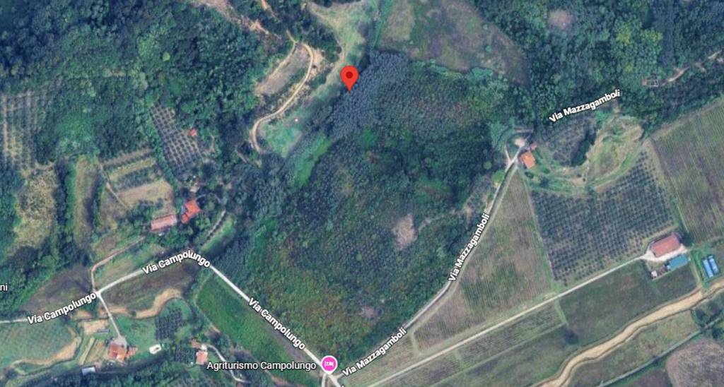 immagine annuncio 9 di 11