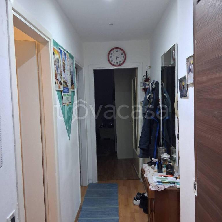 immagine annuncio 5 di 12