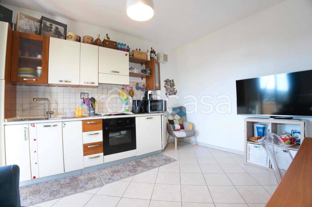 immagine annuncio 6 di 15