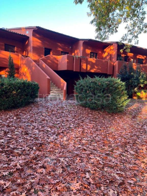 immagine annuncio 9 di 11