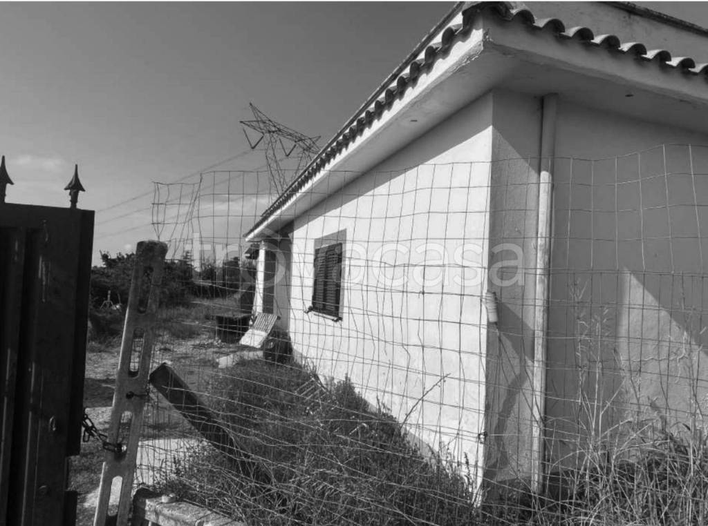 immagine annuncio 9 di 11