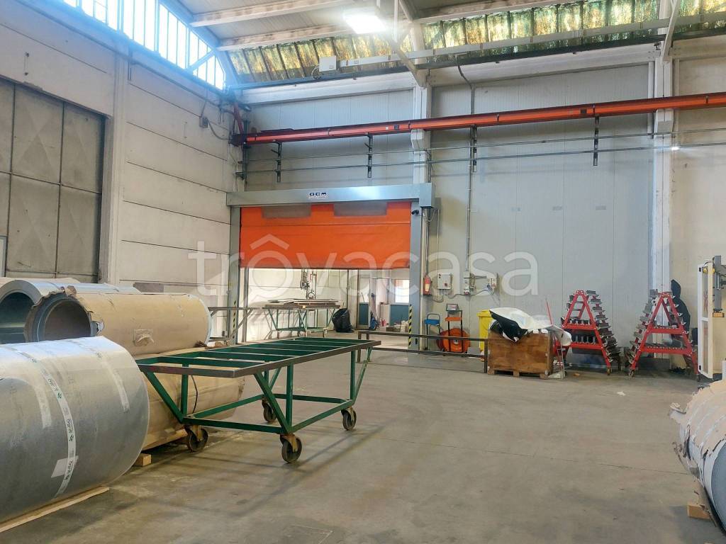 immagine annuncio 12 di 15