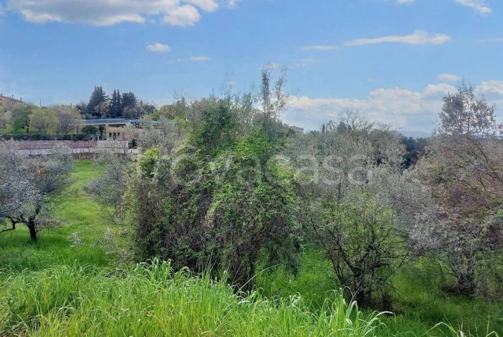 immagine annuncio 6 di 13