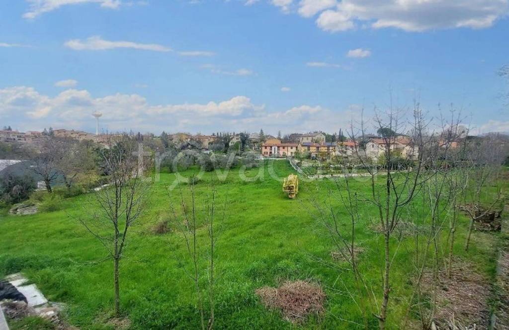 immagine annuncio 11 di 13