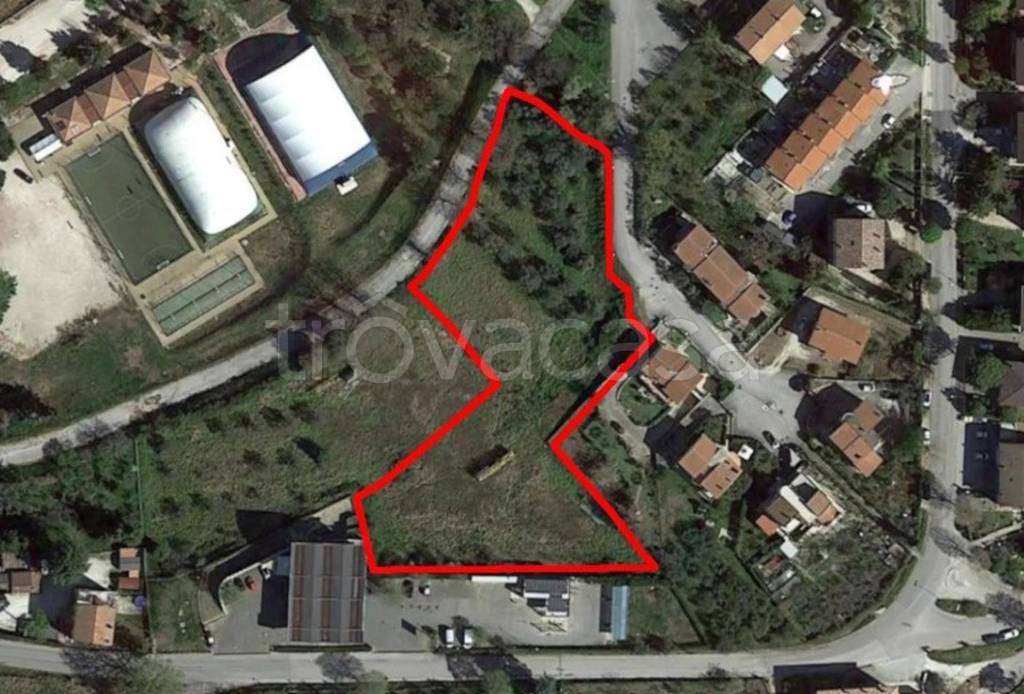 immagine annuncio 12 di 13