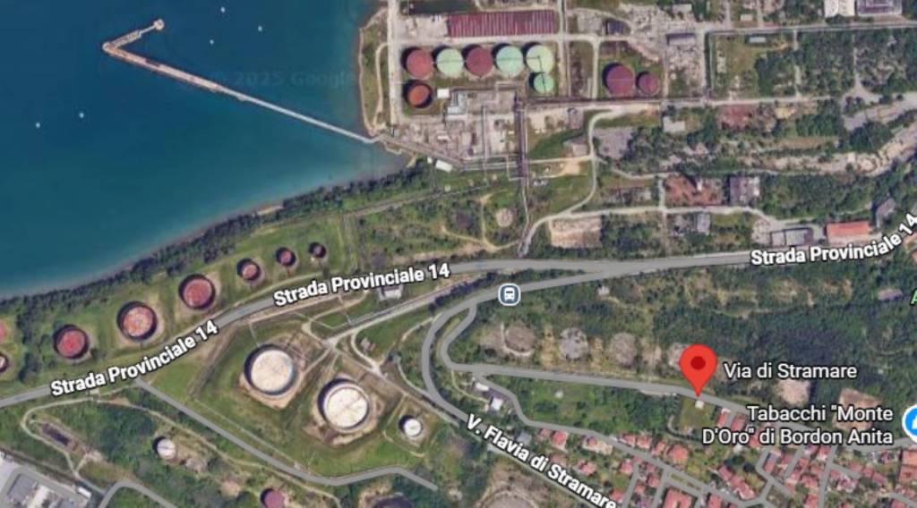 immagine annuncio 5 di 14