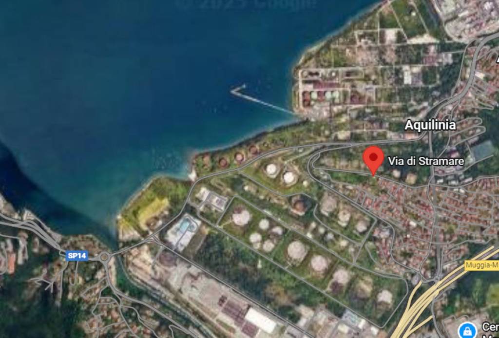 immagine annuncio 7 di 14