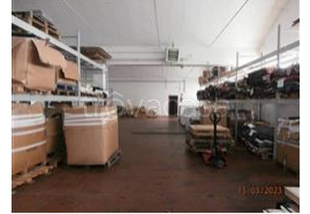 immagine annuncio 6 di 11