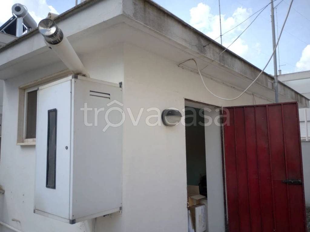 immagine annuncio 9 di 11