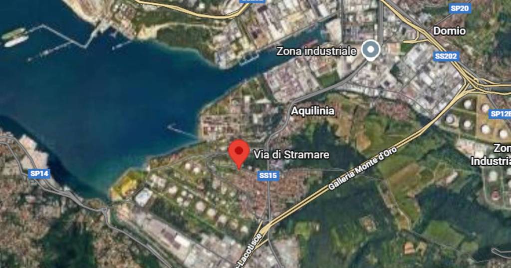 immagine annuncio 9 di 14