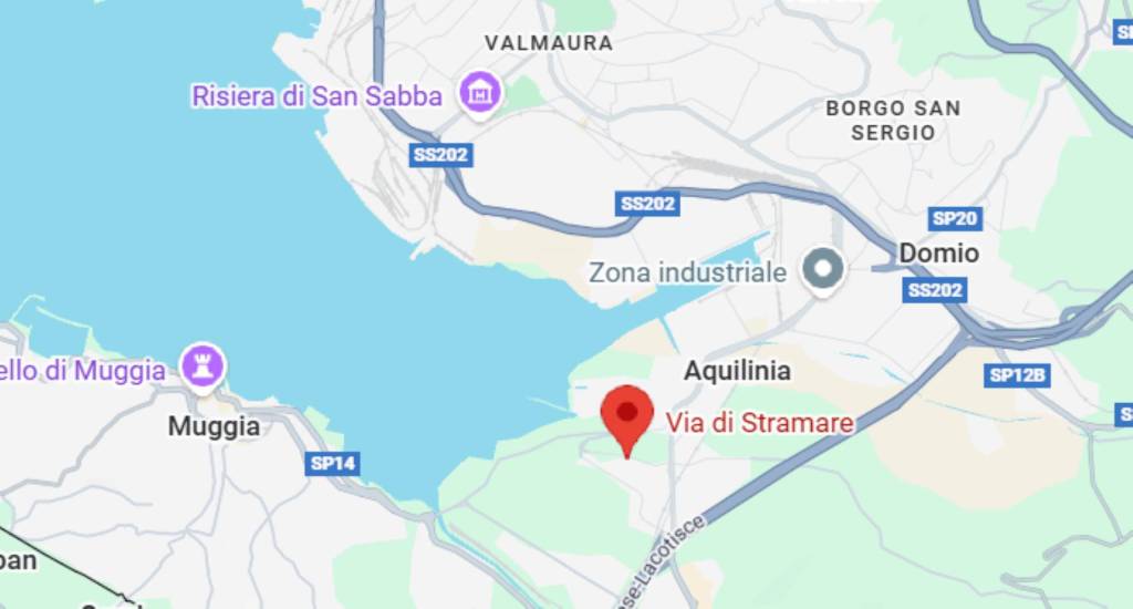 immagine annuncio 10 di 14