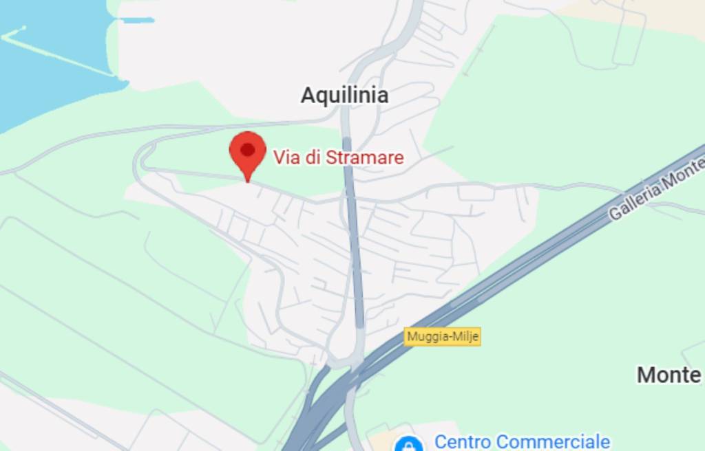 immagine annuncio 11 di 14