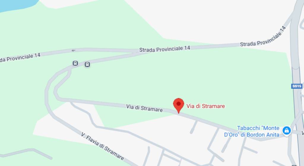 immagine annuncio 12 di 14