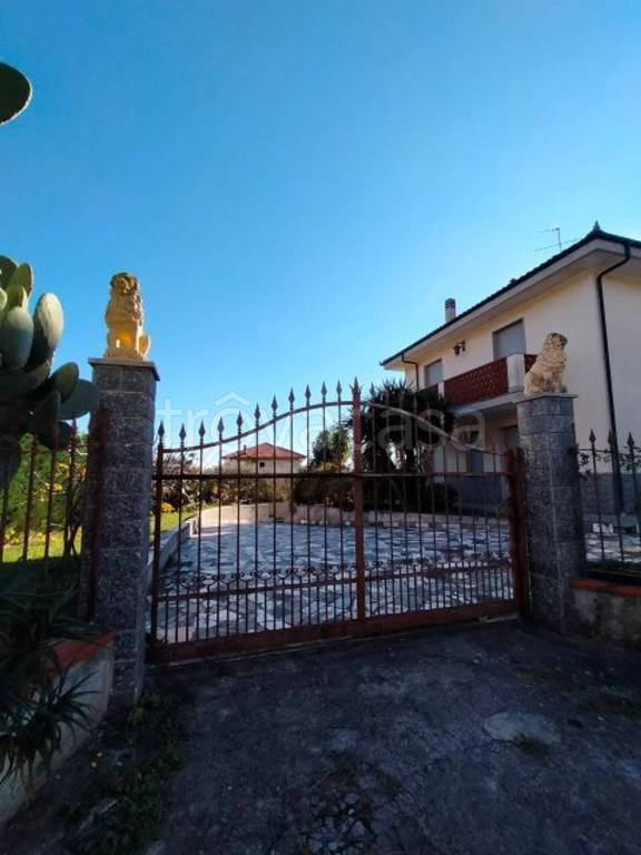 immagine annuncio 8 di 12