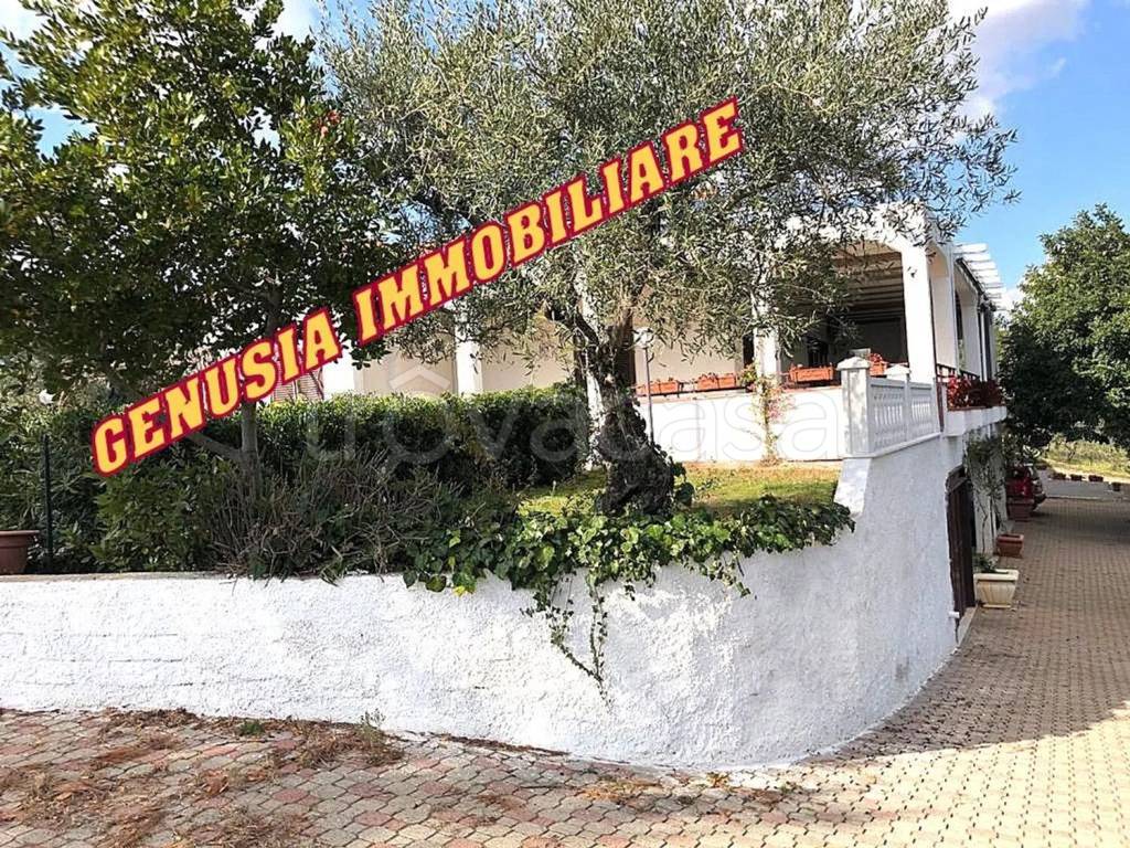 immagine annuncio 8 di 11