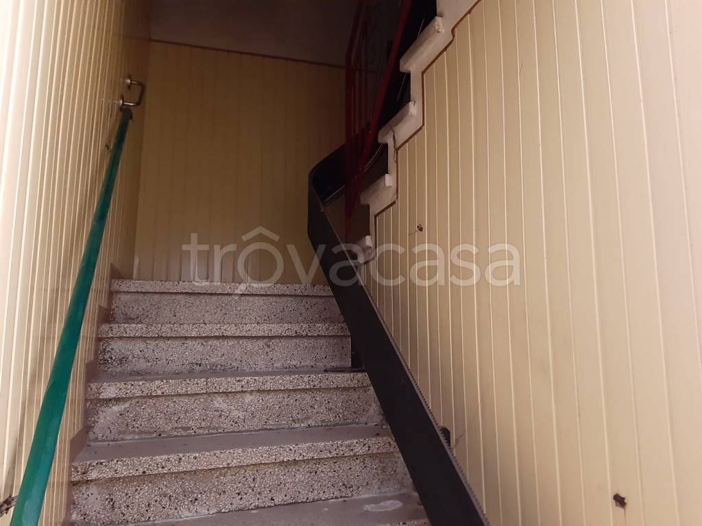 immagine annuncio 4 di 8