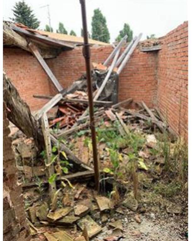 immagine annuncio 8 di 14