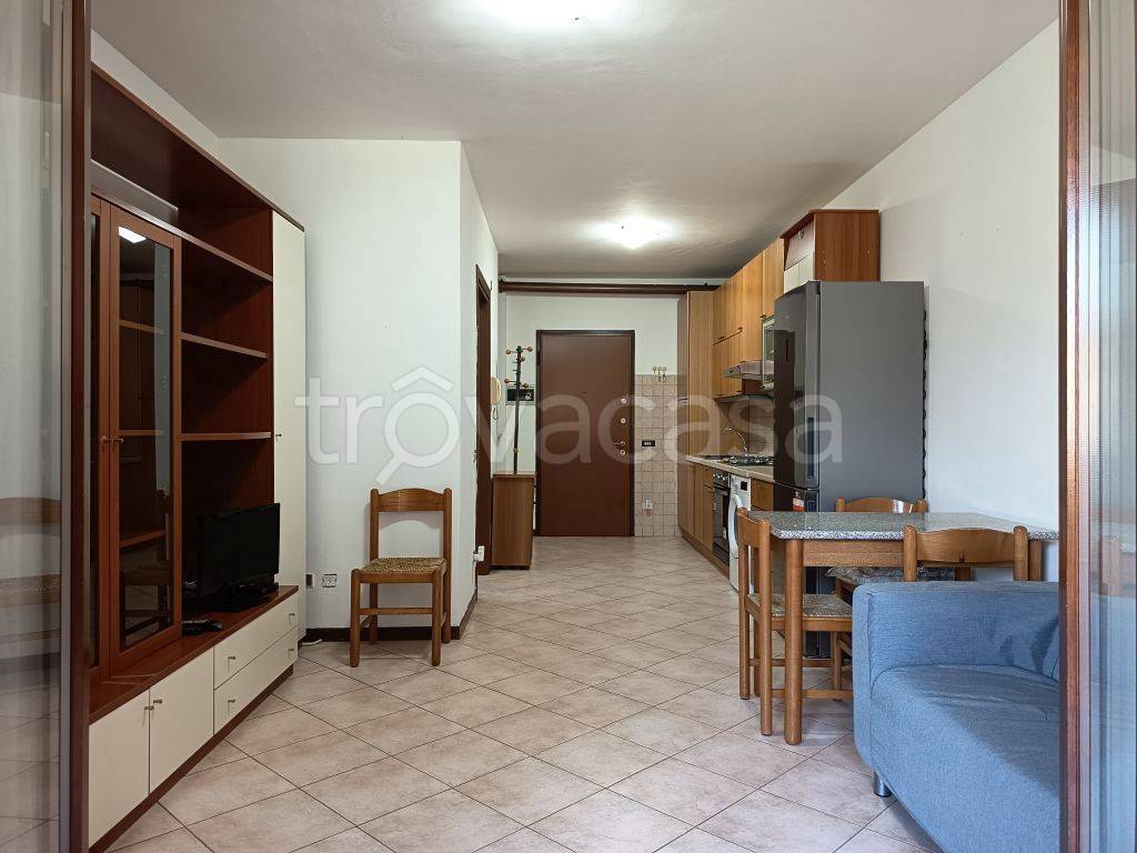 immagine annuncio 5 di 15