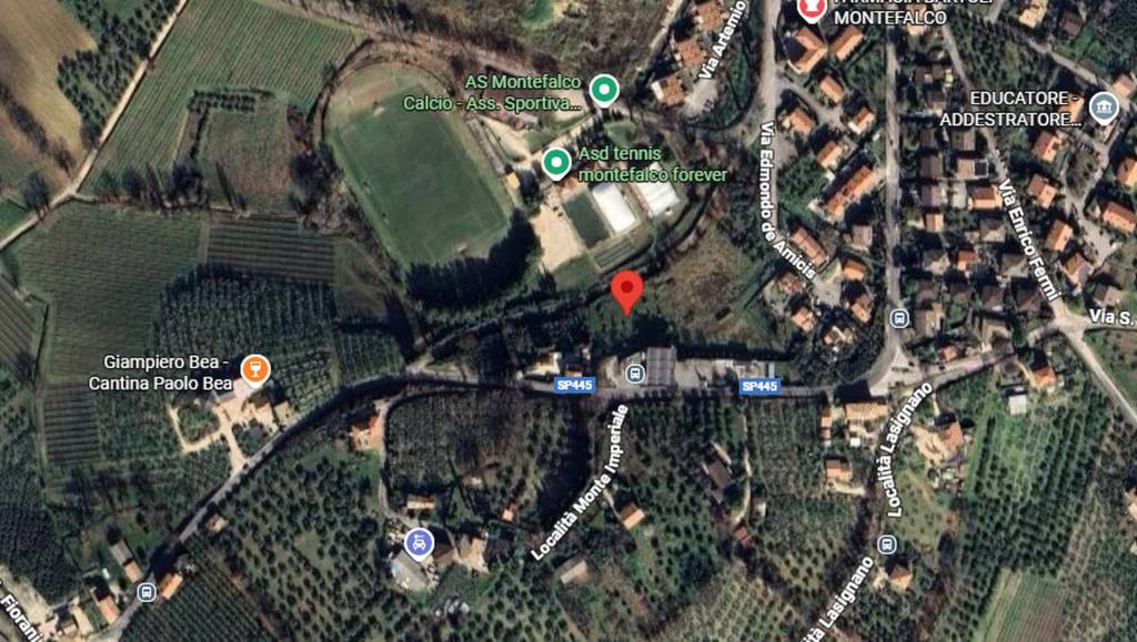 immagine annuncio 5 di 11