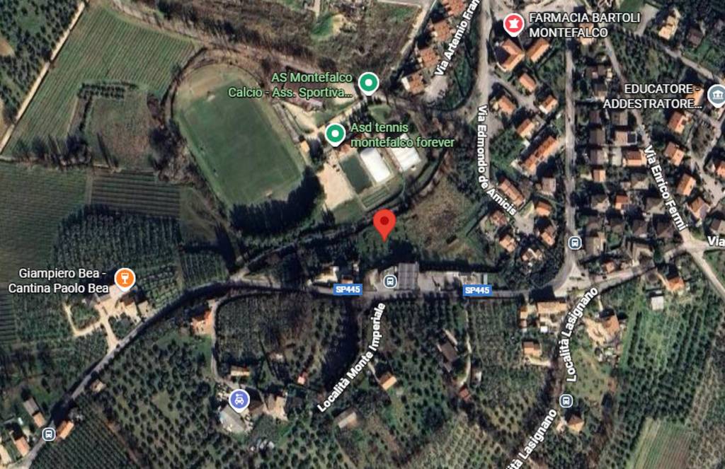 immagine annuncio 7 di 11